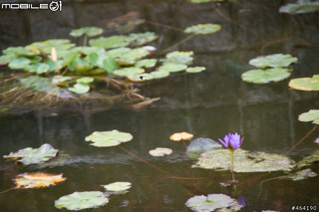 [開箱 ](10/14新增麗星郵輪沖繩行)Tamron A20 AF28-300/3.5-6.3  XR Di LD Asph. IF Macro VC for Nikon