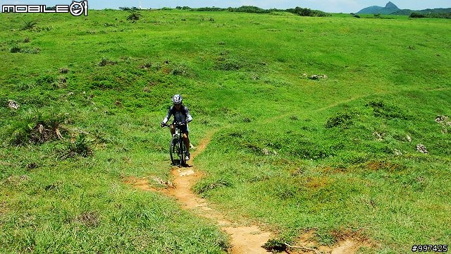 龍蟠公路