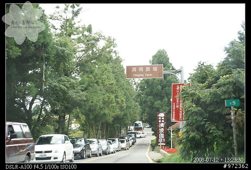 [景點]南投仁愛 清境農場--清境商圈、patite洋食館