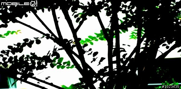 陪 伴 < 上/下 集 全 >