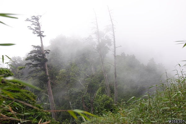 守城大山