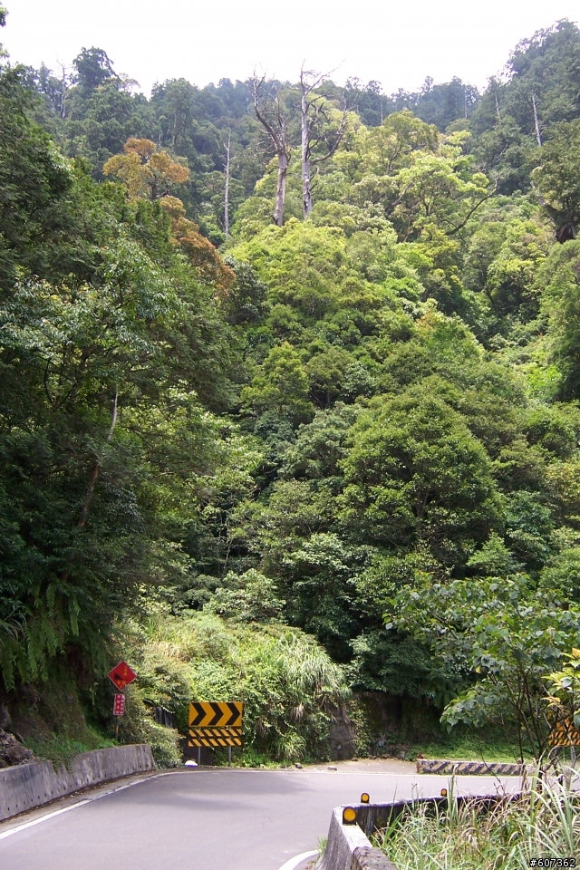 第一次北橫之旅