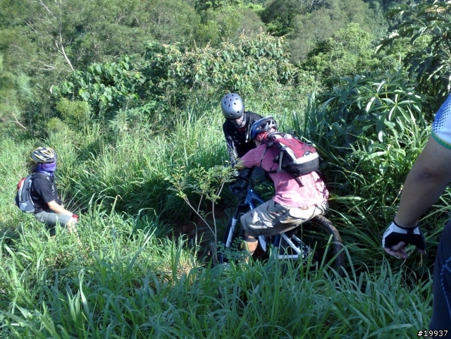 南投7100路段offroad照片分享(圖多)