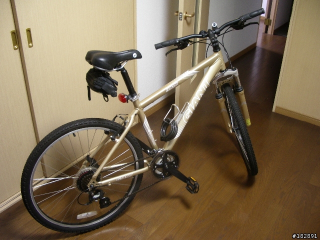 [分享] GIANT RINCON 東京開箱篇(圖多，文多)