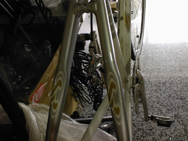 小弟報到~CINELLI little wing  入手!