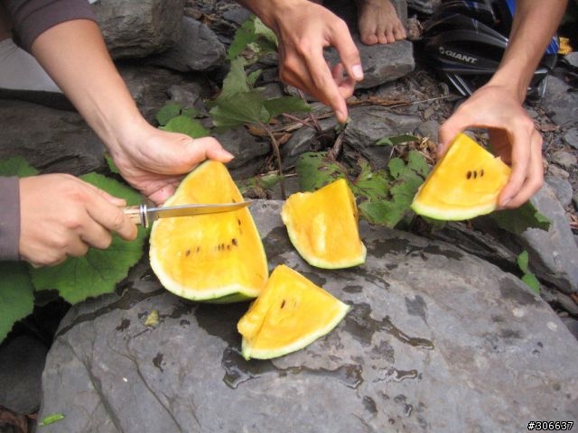 [遊記]戀上四季林道 (嘉平林道)
