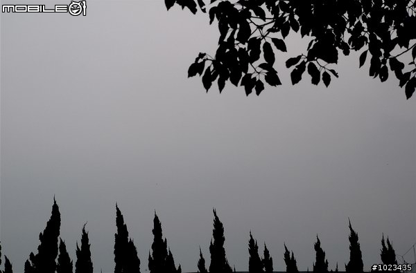 陪 伴 < 上/下 集 全 >
