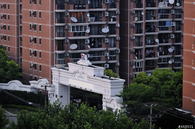 [第四篇開箱分享]~SIGMA : APO 100-300mm F4 EX IF DG HSM~長焦有其不同樂趣！