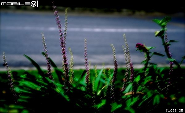 陪 伴 < 上/下 集 全 >