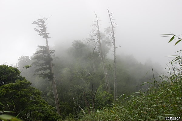 守城大山