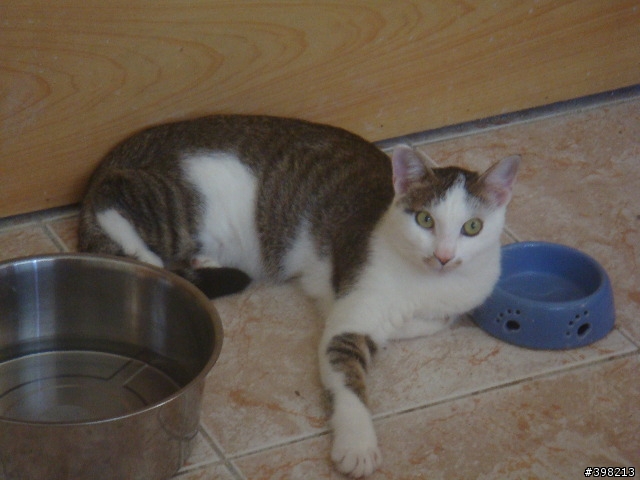 [分享]幸福的小孩-嚕尼