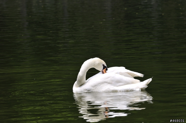 [第四篇開箱分享]~SIGMA : APO 100-300mm F4 EX IF DG HSM~長焦有其不同樂趣！