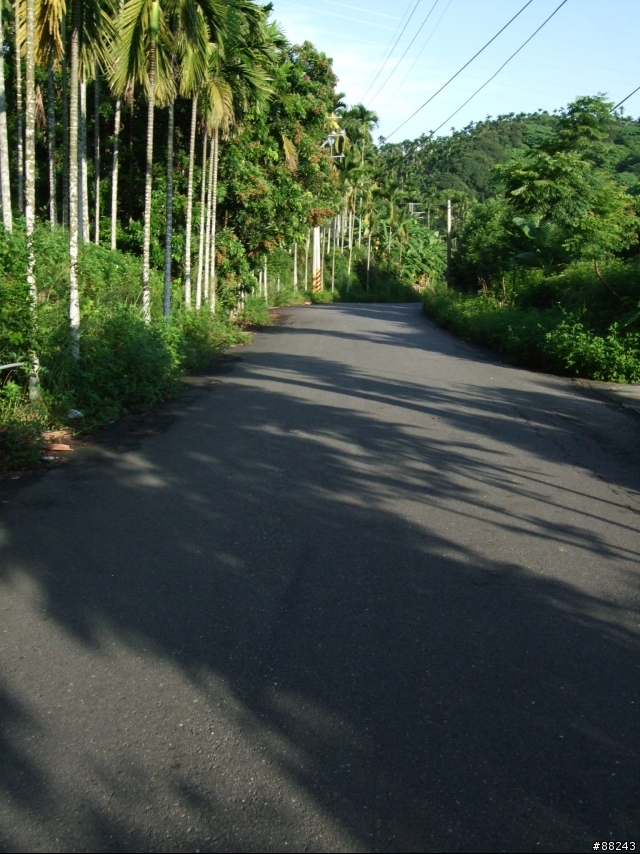 (圖多，遊記完成囉)環嘉義縣-約160KM-日期 7月12日 順利完成~