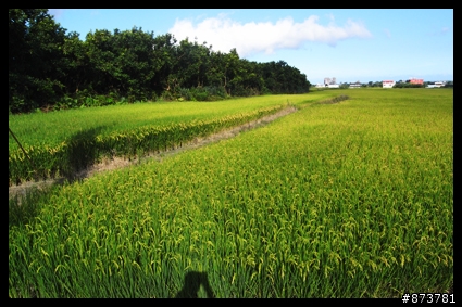 【分享】平溪加碼團「入門版的大滿貫」（圖多）