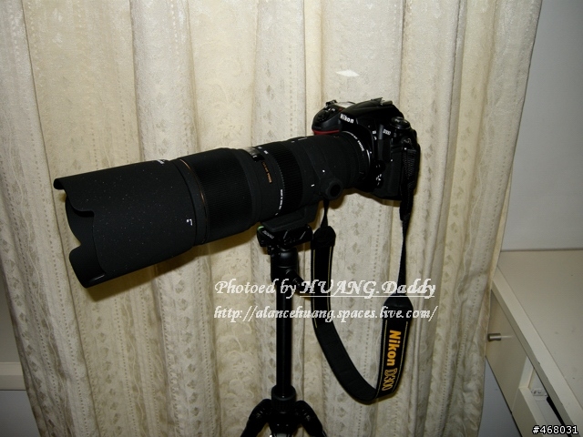 [第四篇開箱分享]~SIGMA : APO 100-300mm F4 EX IF DG HSM~長焦有其不同樂趣！