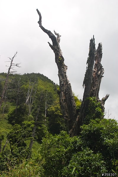 守城大山