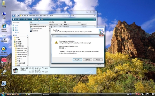 vista x64 sp1安裝k-lite出現問題