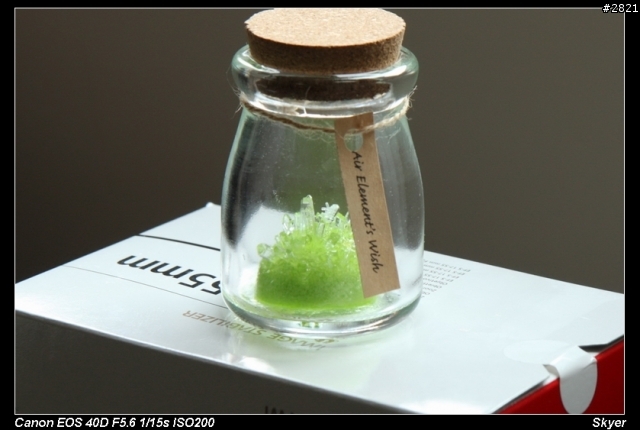 [鏡頭開箱]Canon EF-S 17-55mm F2.8 IS USM