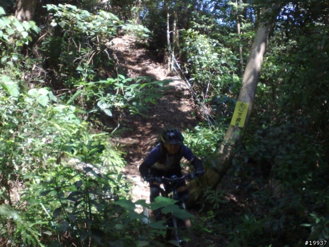南投7100路段offroad照片分享(圖多)