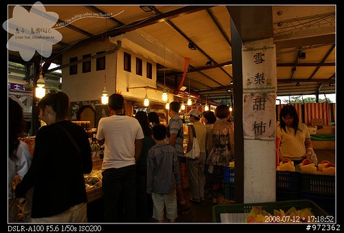 [景點]南投仁愛 清境農場--清境商圈、patite洋食館