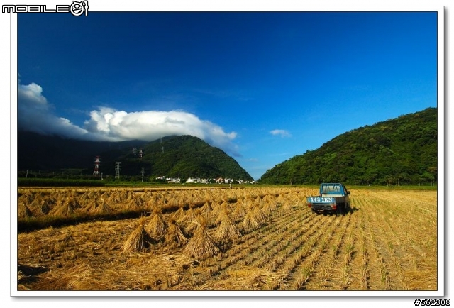[求助]Nikon AF-S 12-24mm F4 DX 鏡頭邊緣畫質的怪現象