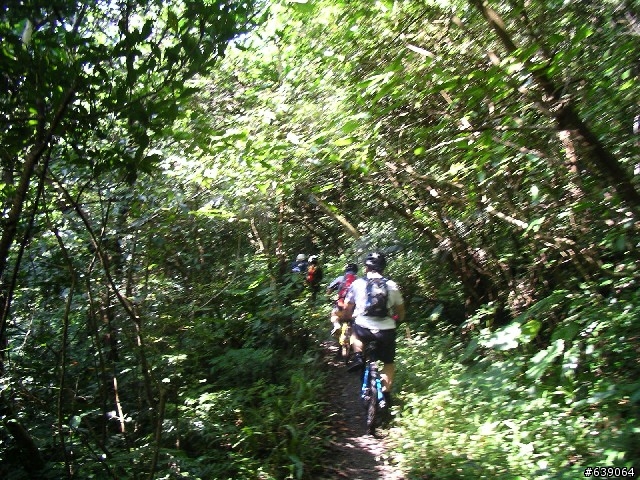 [這就是登山車的路] 烏來西坑林道 與  桶后林道一日遊