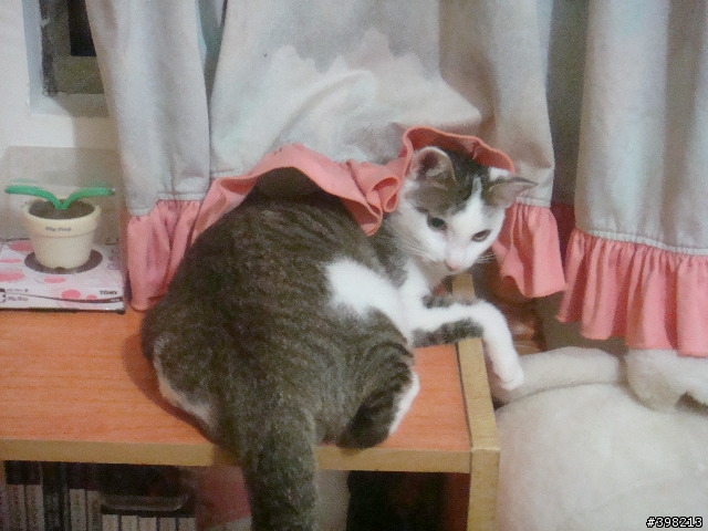 [分享]幸福的小孩-嚕尼