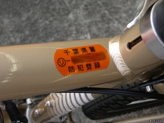 [分享] GIANT RINCON 東京開箱篇(圖多，文多)