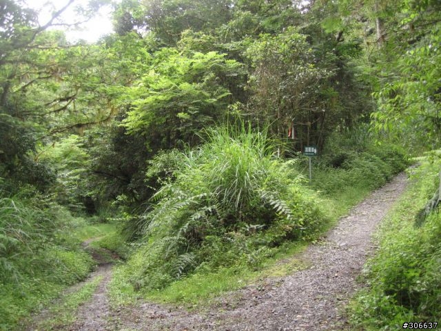 [遊記]戀上四季林道 (嘉平林道)