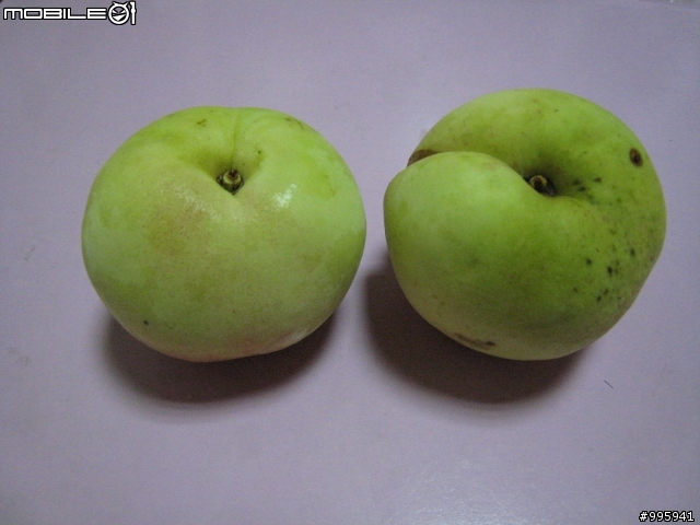 【分享】復興鄉東眼山一日遊&拉拉山水蜜桃