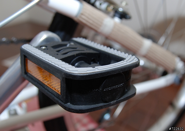 不專業之新手亂開兩箱文 [Dahon-Boardwalk D7]