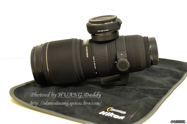 [第四篇開箱分享]~SIGMA : APO 100-300mm F4 EX IF DG HSM~長焦有其不同樂趣！