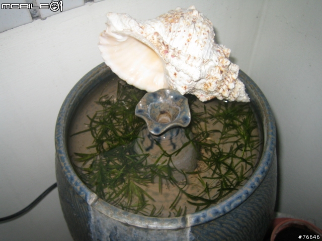 [分享]我的‧秘密花園