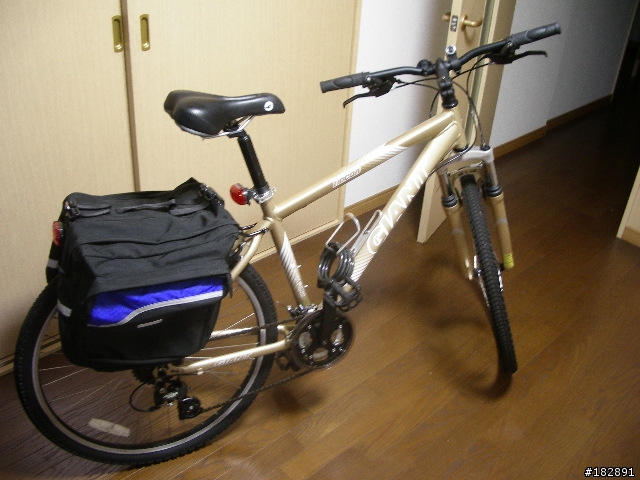 [分享] GIANT RINCON 東京開箱篇(圖多，文多)
