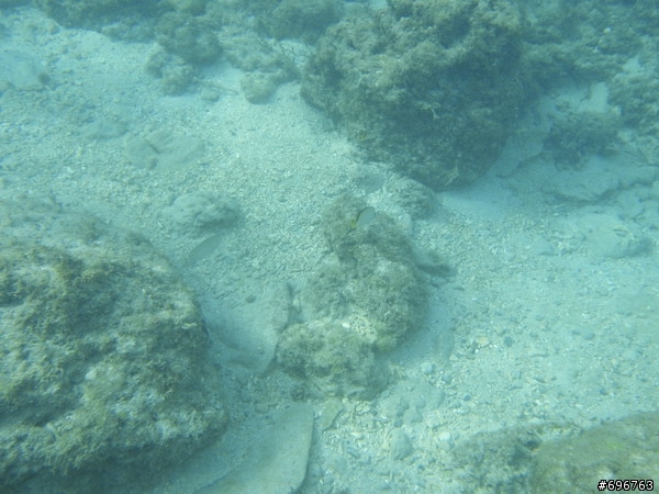 ~ 海上明珠小琉球の鐵馬逍遙遊 ~