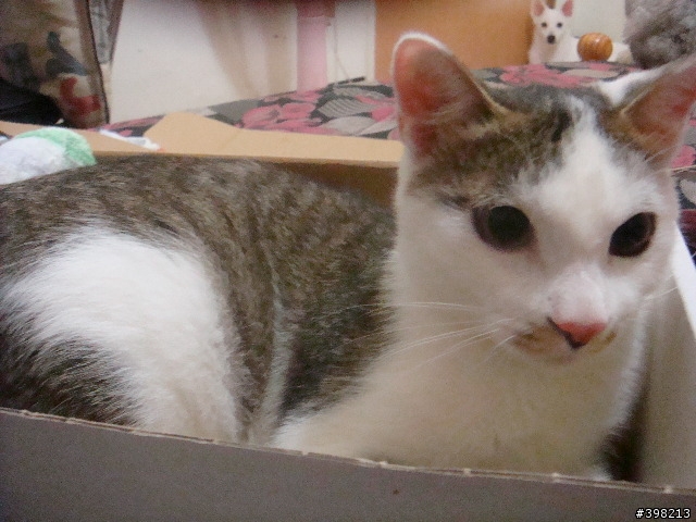 [分享]幸福的小孩-嚕尼