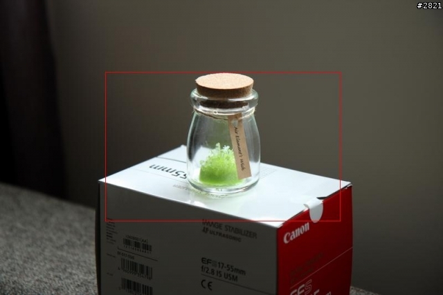 [鏡頭開箱]Canon EF-S 17-55mm F2.8 IS USM