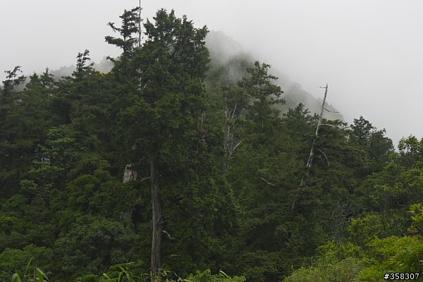 守城大山