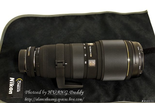 [第四篇開箱分享]~SIGMA : APO 100-300mm F4 EX IF DG HSM~長焦有其不同樂趣！