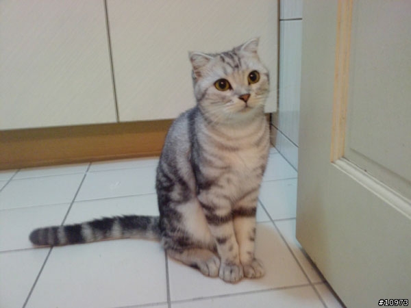 LG KC550 開箱報告