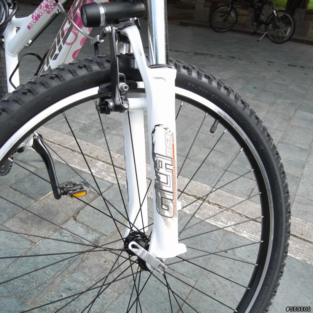Merida 520 Lady - 14.5" for 嬌小女