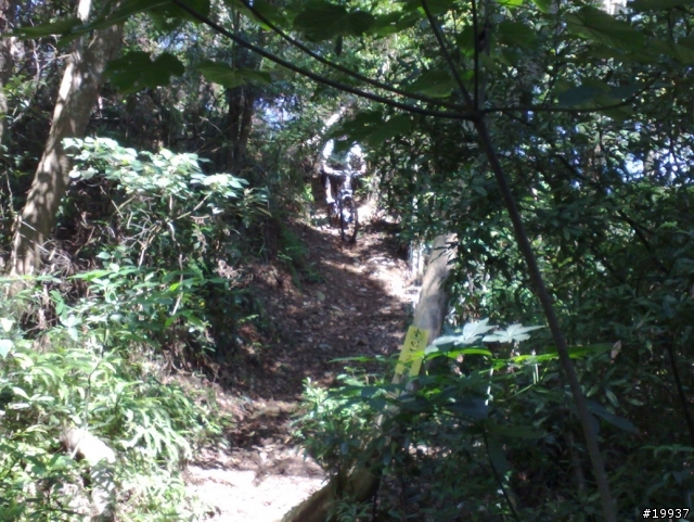 南投7100路段offroad照片分享(圖多)