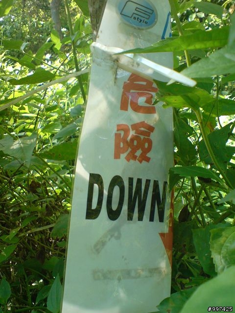 [遊記] 新化大草原 關廟自由風賽道之旅