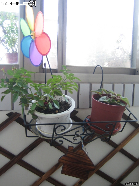 [分享]我的‧秘密花園