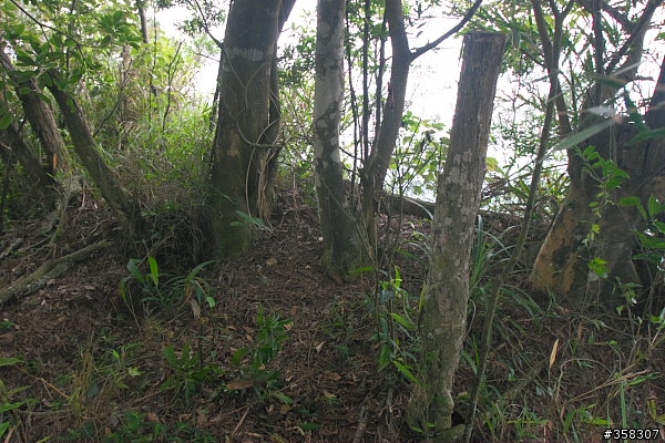 西火炎山