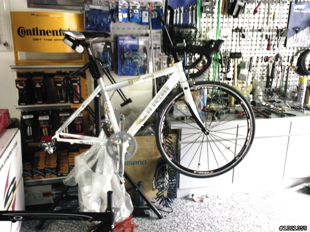 小弟報到~CINELLI little wing  入手!