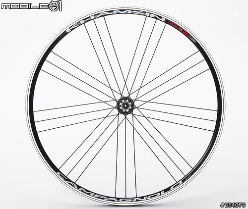 [分享]  ARGON 車友們  ...  分享一下最近的出遊照吧!!!