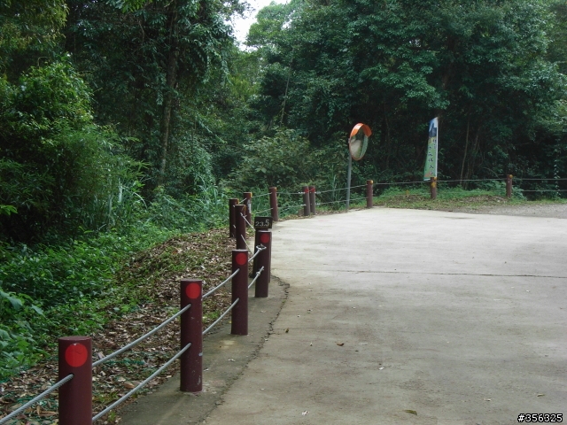 [遊記] MTB聖地---司馬限林道 (雪霸國家公園-雪見遊憩區)