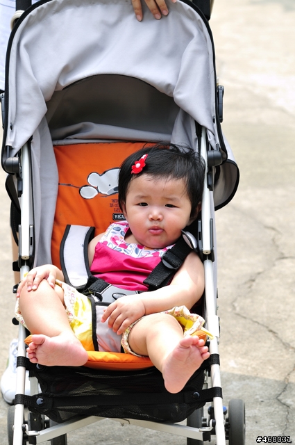 [第四篇開箱分享]~SIGMA : APO 100-300mm F4 EX IF DG HSM~長焦有其不同樂趣！