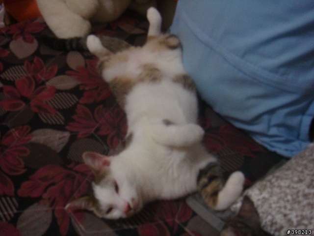 [分享]幸福的小孩-嚕尼